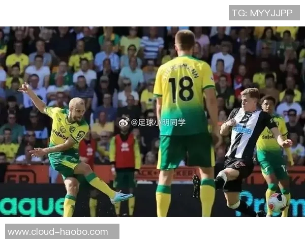 谢菲尔德联与诺维奇的激烈对决展现英冠球队的拼搏精神与战术较量